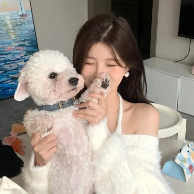 四圣兽之幽魂还愿师