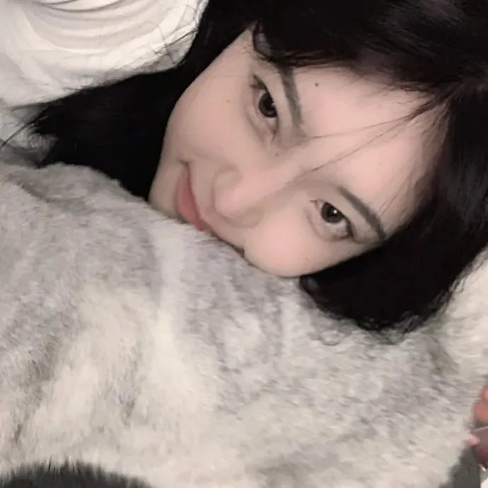小雪的太阳